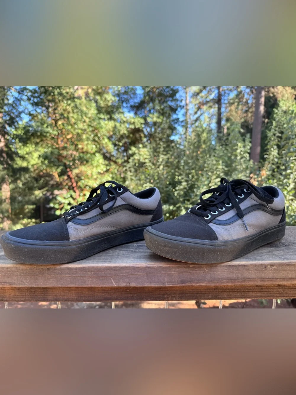 Vans Black and Gray Low-Top Skate Sneakers